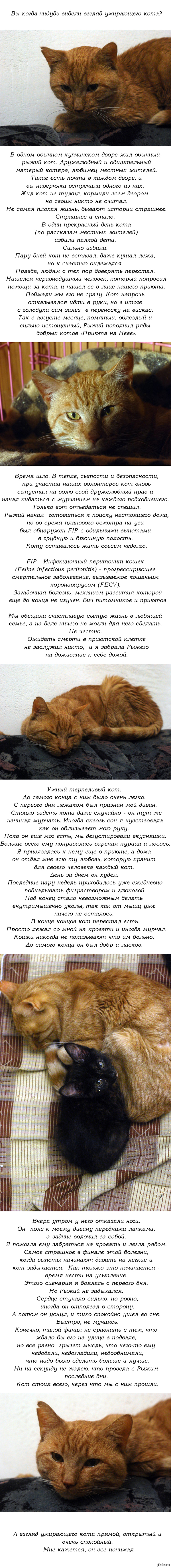 Восстановить доступ к кракену