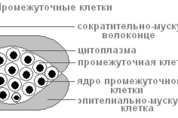 Почему не могу зайти на кракен