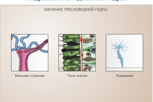 Актуальное зеркало kraken