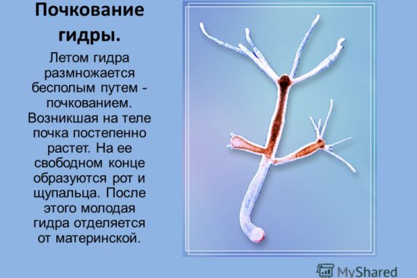 Кракен вход рабочий