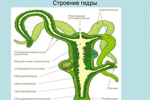 Кракен как зайти через тор браузер